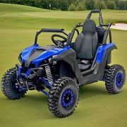 Электроквадроцикл SFmoto F15 VIP 1200